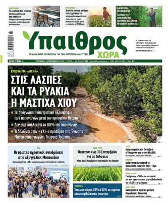 Ύπαιθρος Χώρα Φύλλο 463