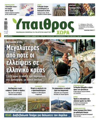 Ύπαιθρος Χώρα Φύλλο 493
