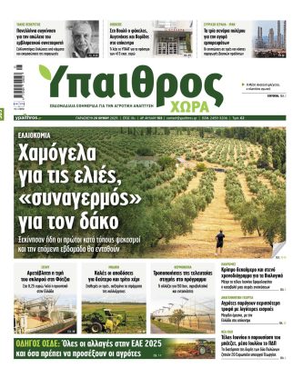 Ύπαιθρος Χώρα Φύλλο 503